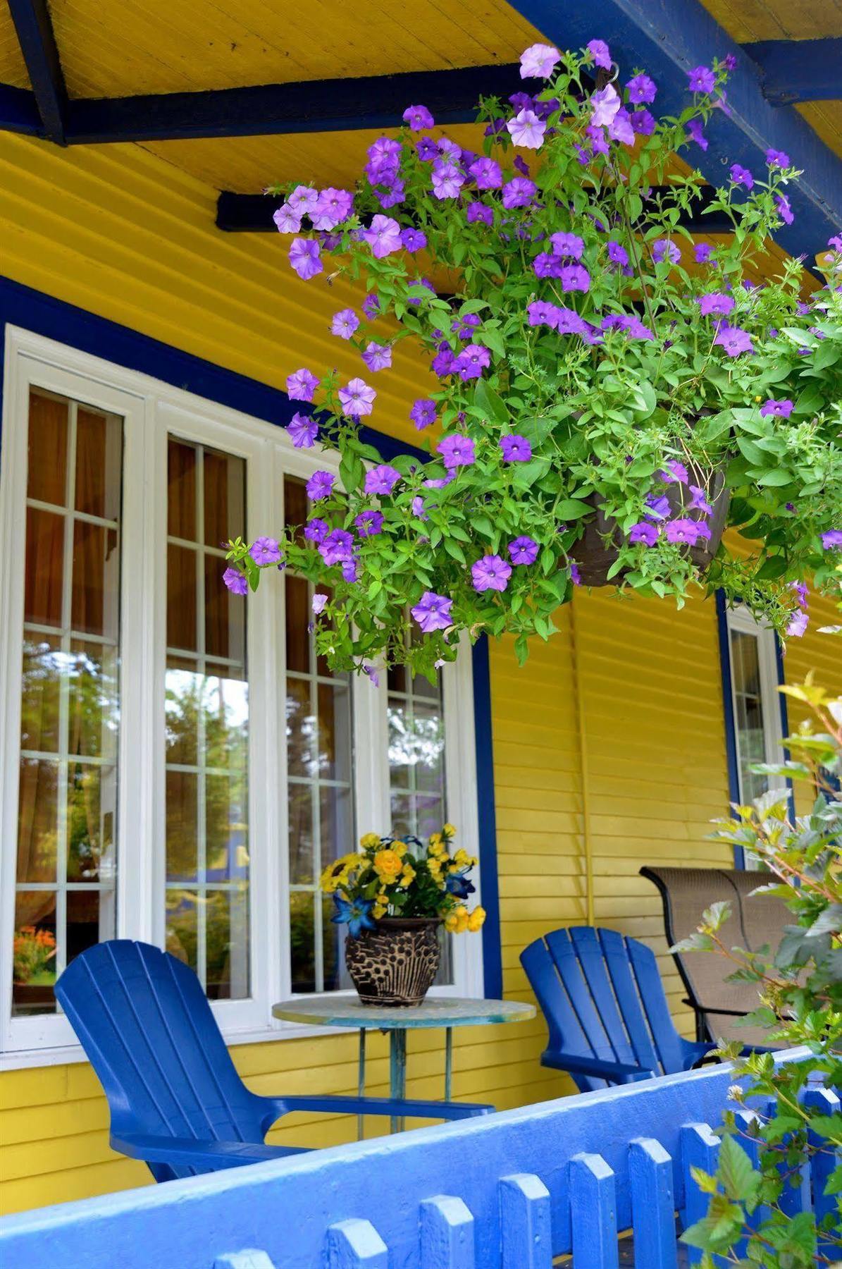 Bed and Breakfast Au Saut Du Lit Magog Exteriér fotografie